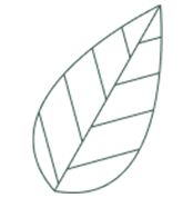 Tree Image